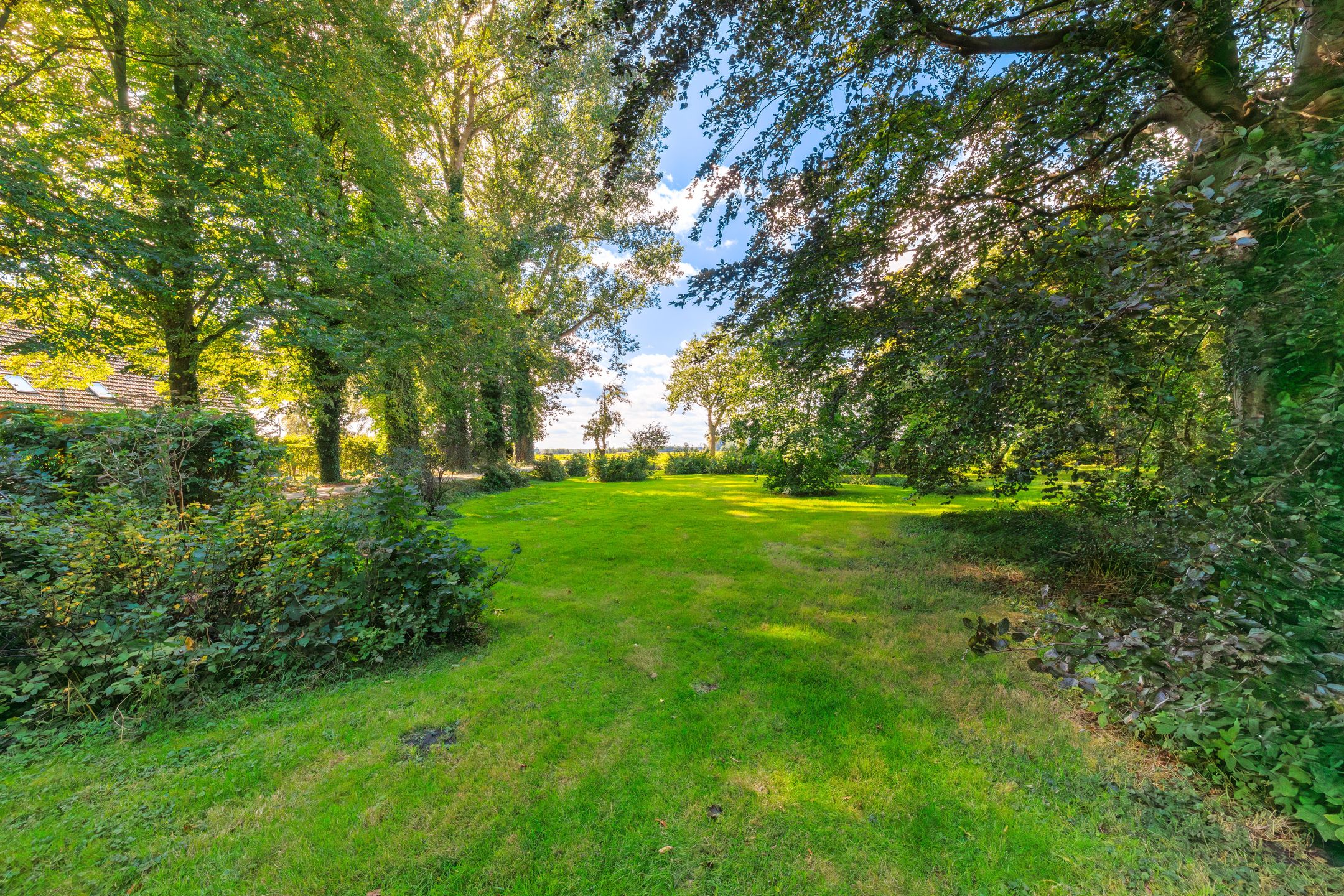 Photo 6 of Gasselterboerveen 26
