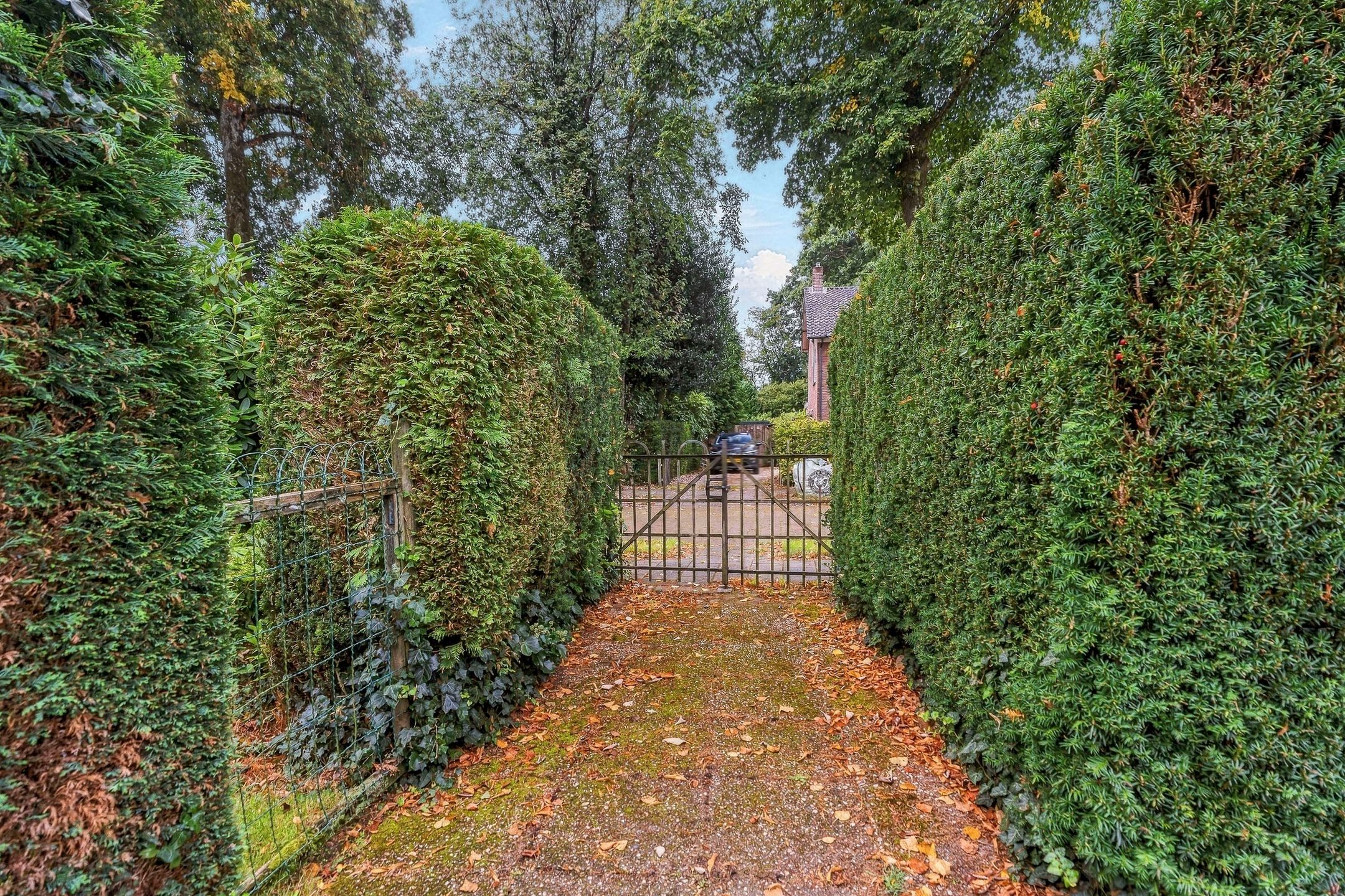 Photo 51 of de Ruijterlaan 16