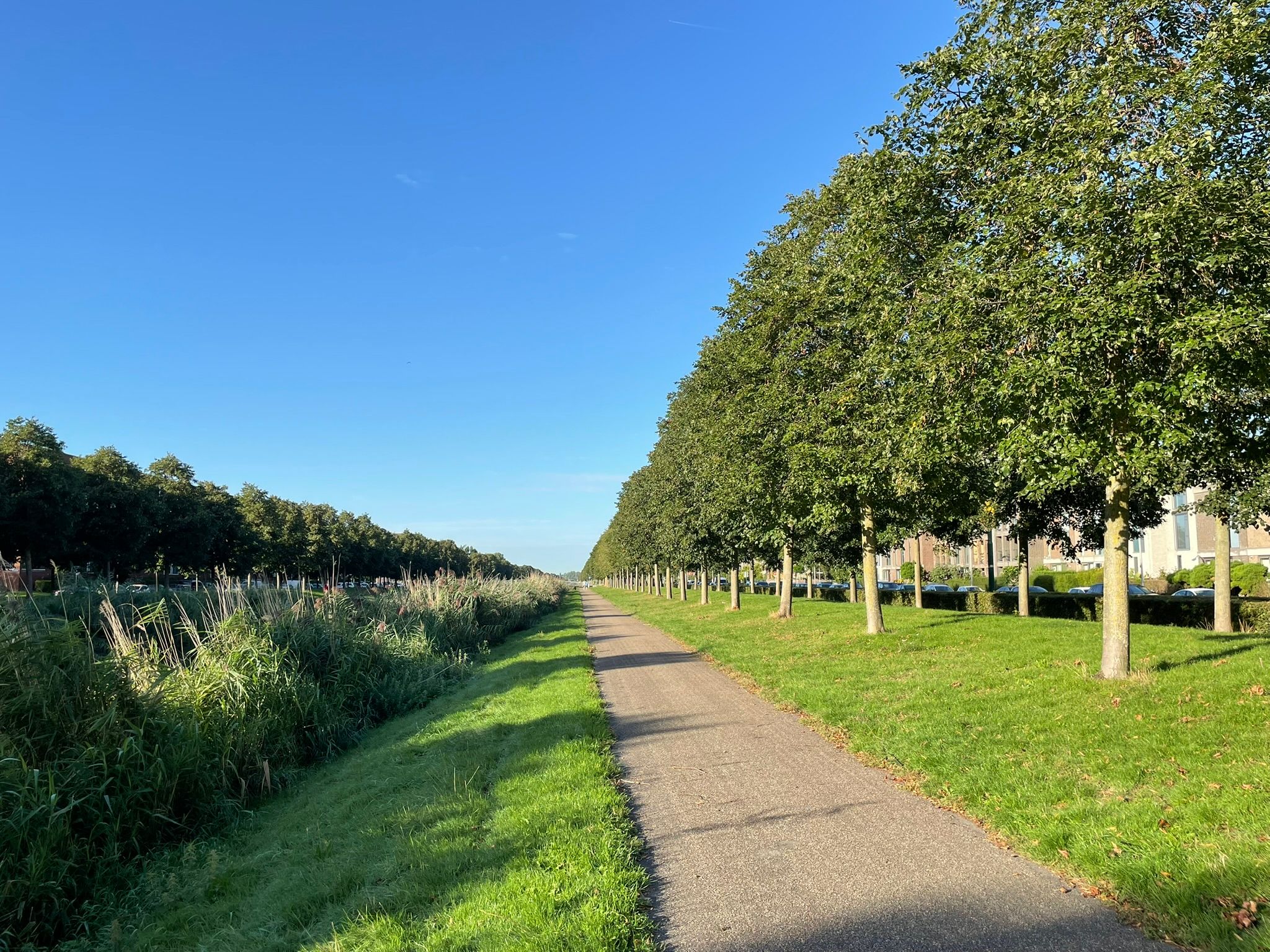 Foto 42 van Nootdorpse Landingslaan 138