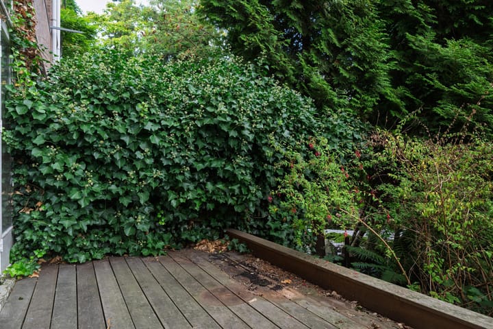 Appartement te koop: De Savornin Lohmanlaan 32A, Rotterdam