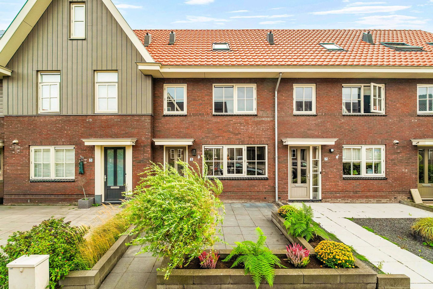 Foto 5 van Goudhaver 5