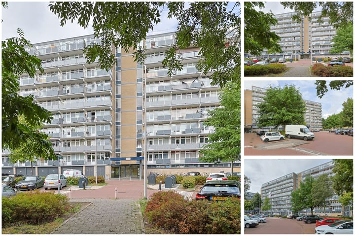 Foto 4 van Lupinesingel 304