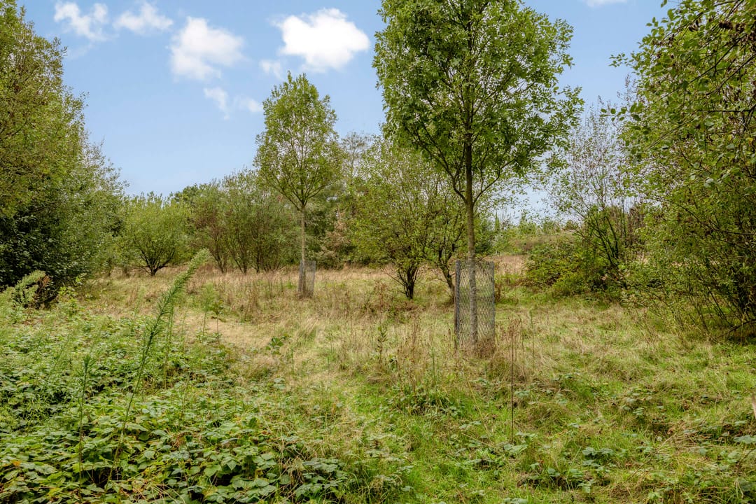 Photo 41 of Broekmorgen 33