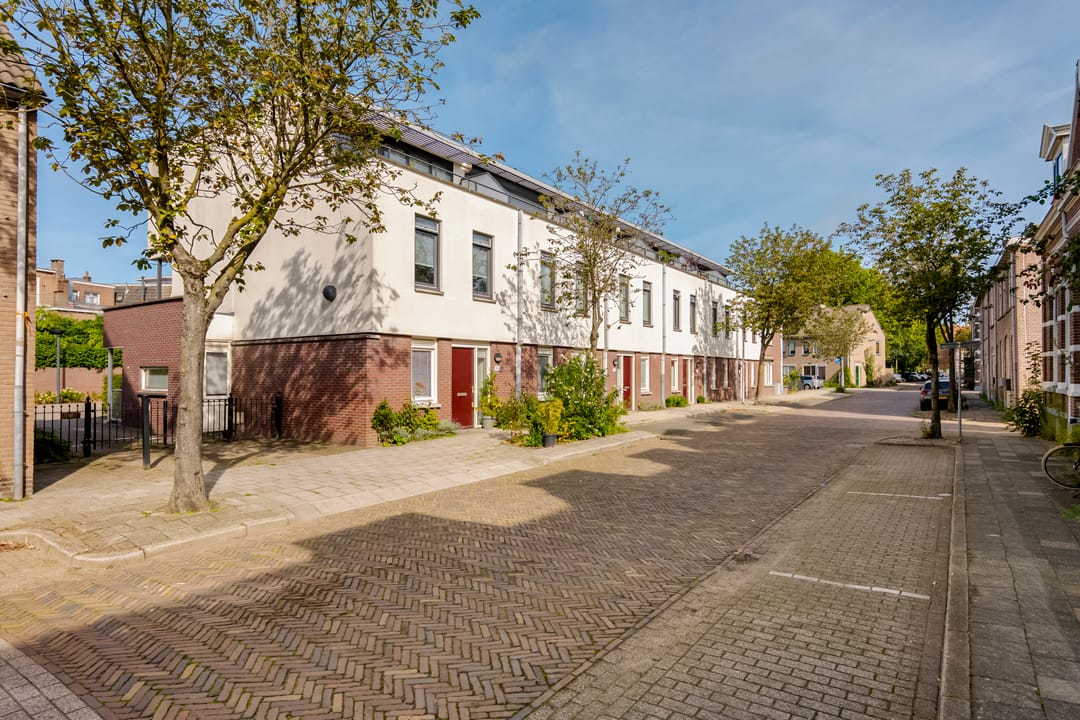 Foto 41 van Van der Laenstraat 124