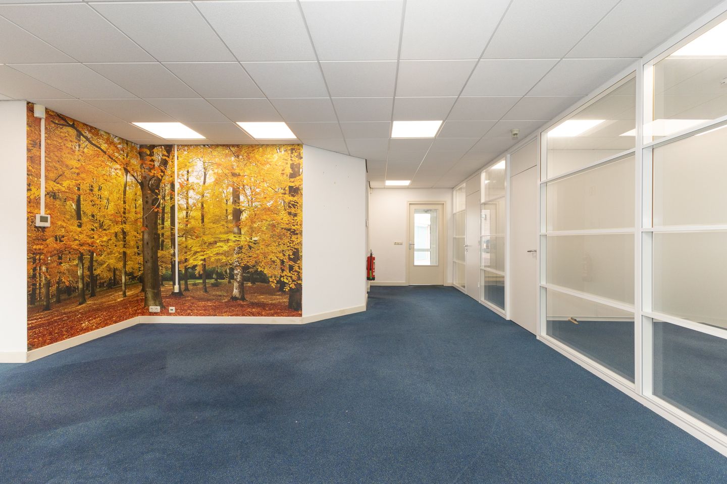 View photo 4 of Nieuweweg 16