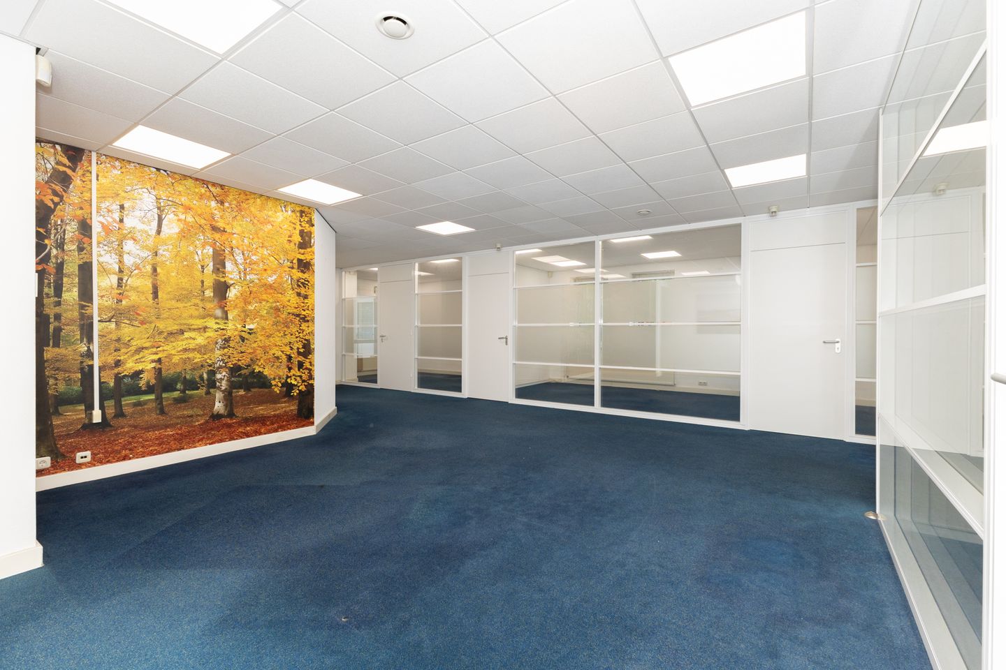 View photo 5 of Nieuweweg 16
