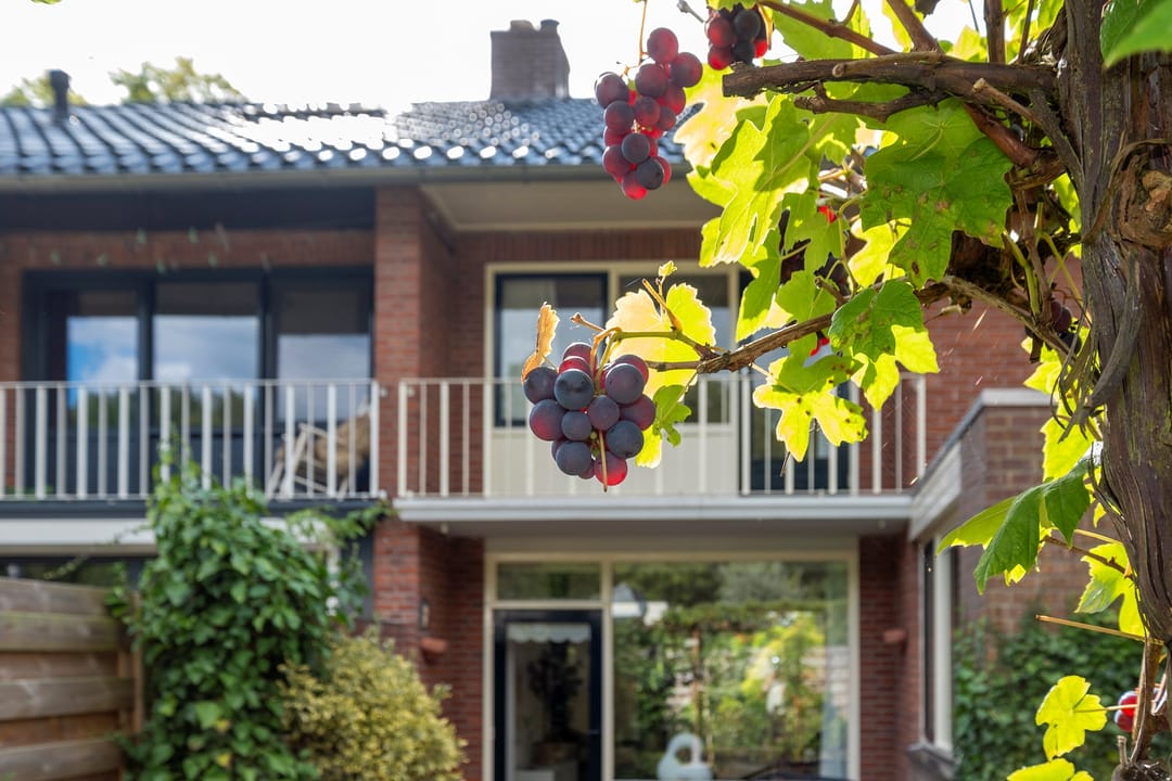 Foto 46 van Sleedoorn 17