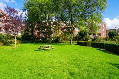 Niasstraat thumbnail