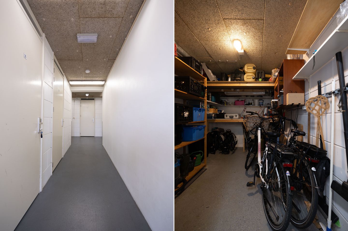 Photo 49 of Thijs Rinsemastraat 26