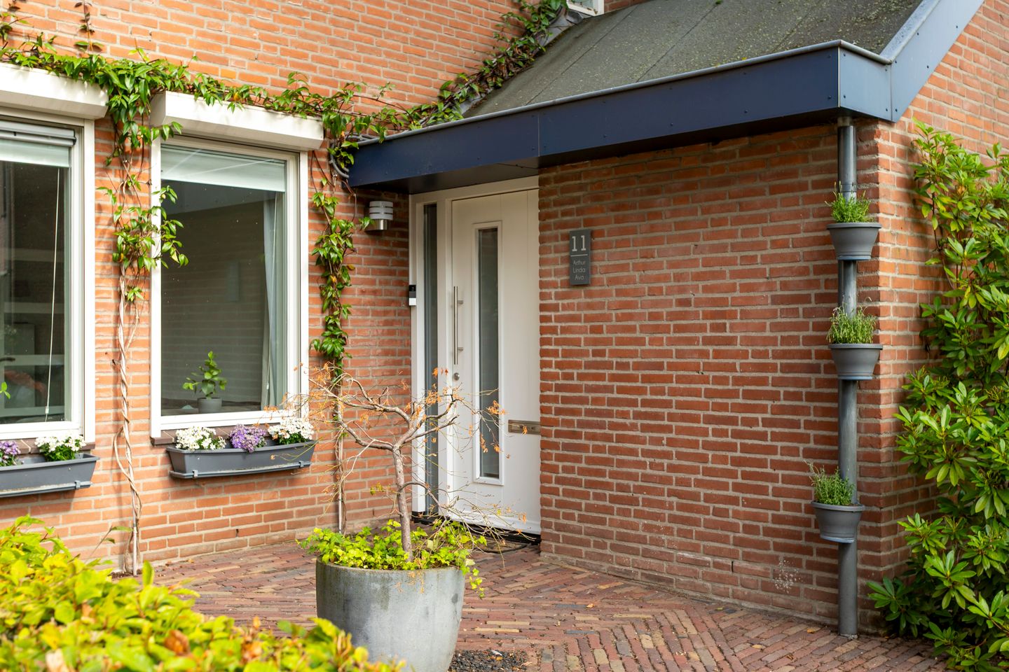 Foto 4 van Witpoel 11