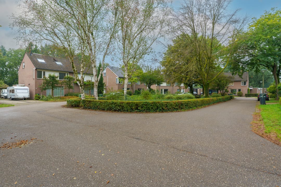 Foto 43 van Bergroosstraat 21