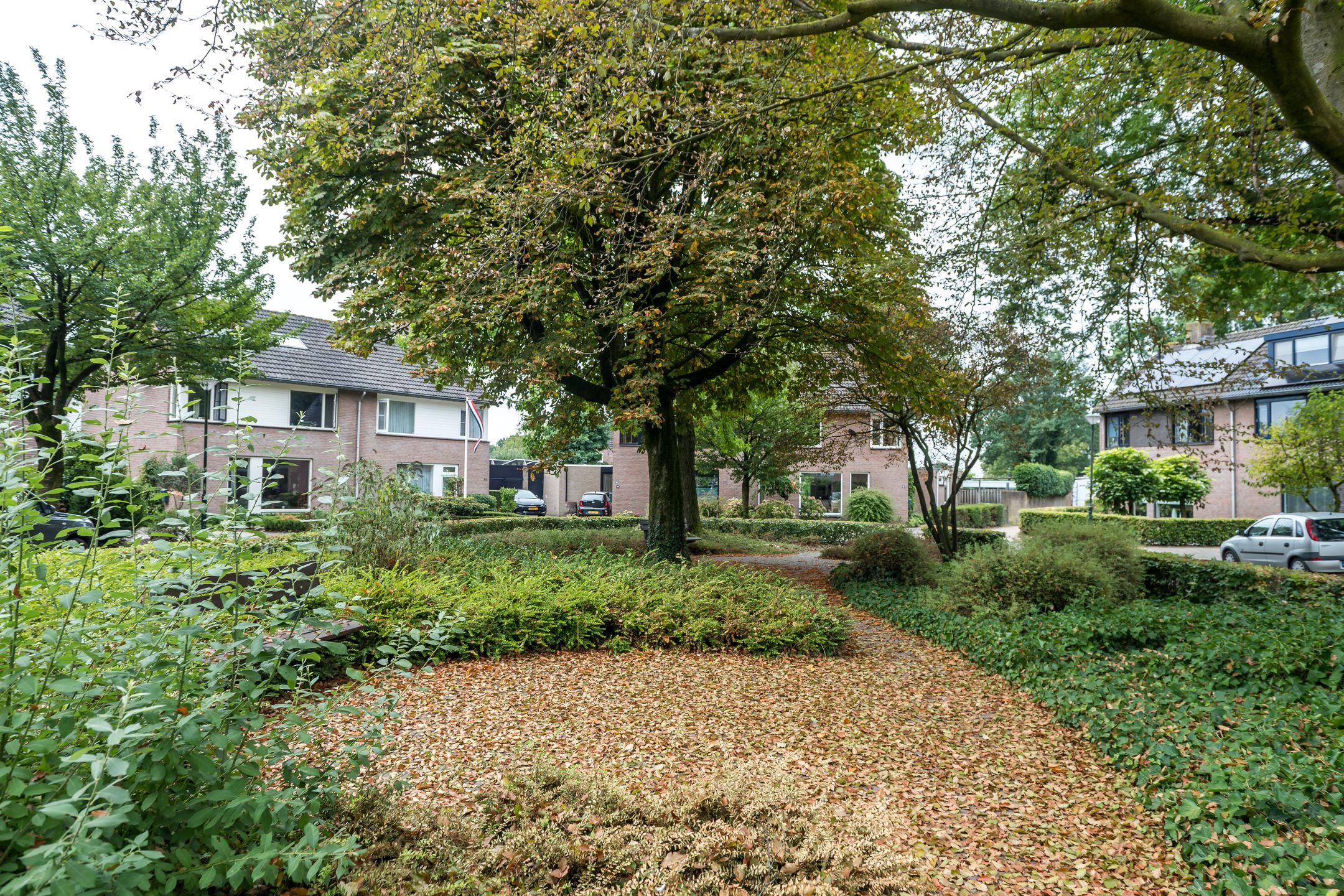 Foto 45 van Bergroosstraat 21