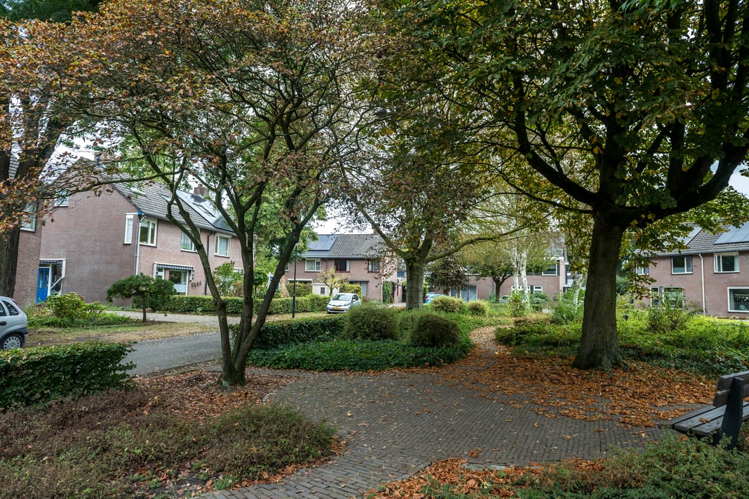Foto 46 van Bergroosstraat 21