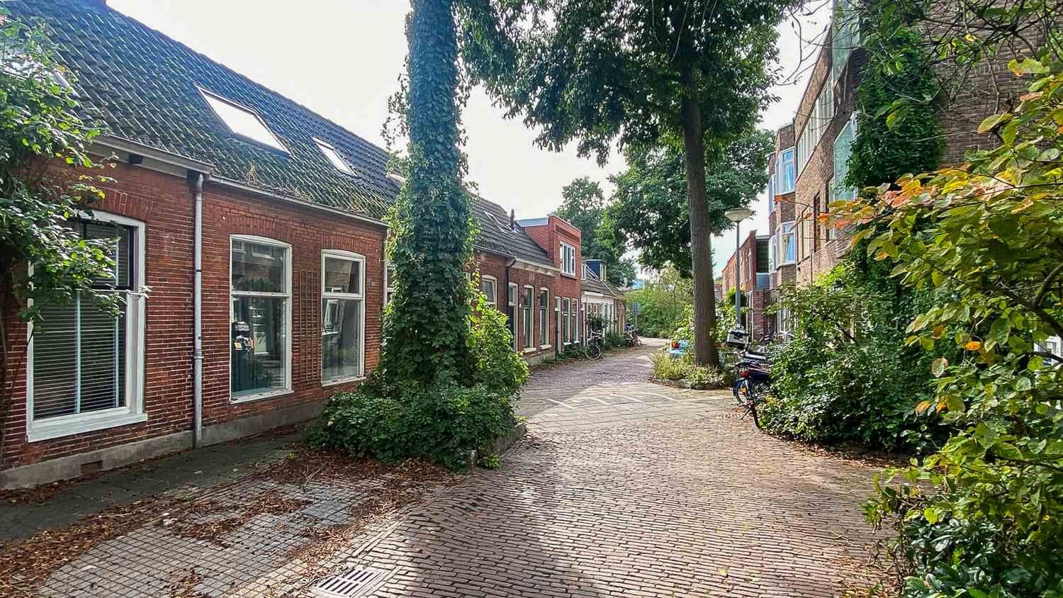 Foto 45 van Zwarteweg 26