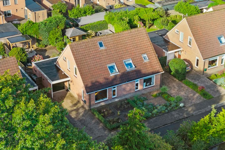 Foto 4 van Speenkruid 22