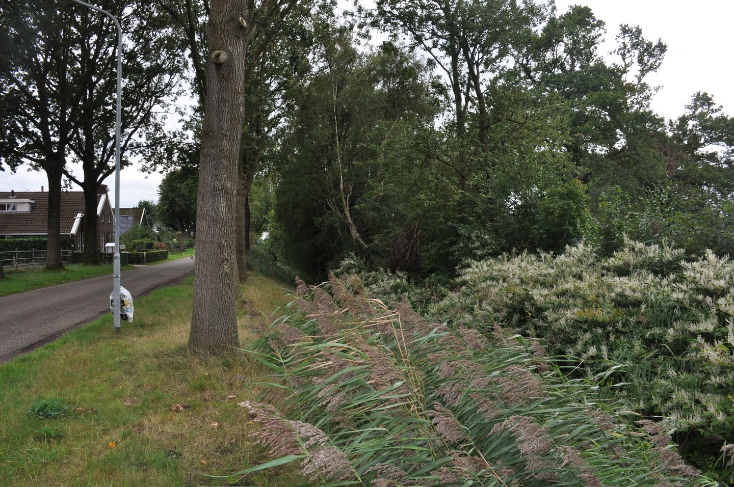 Foto 10 van Kalkwijk