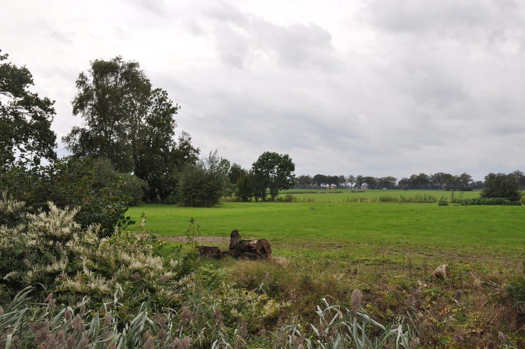Foto 1 van Kalkwijk