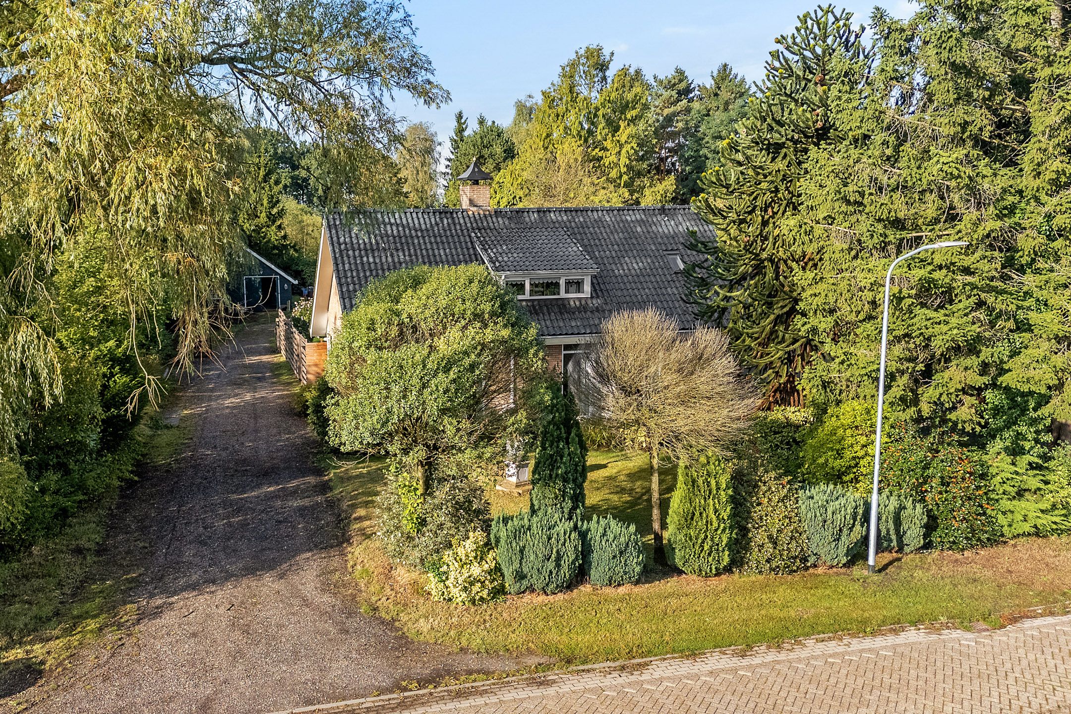 Photo 57 of Oosterwijk WZ 50