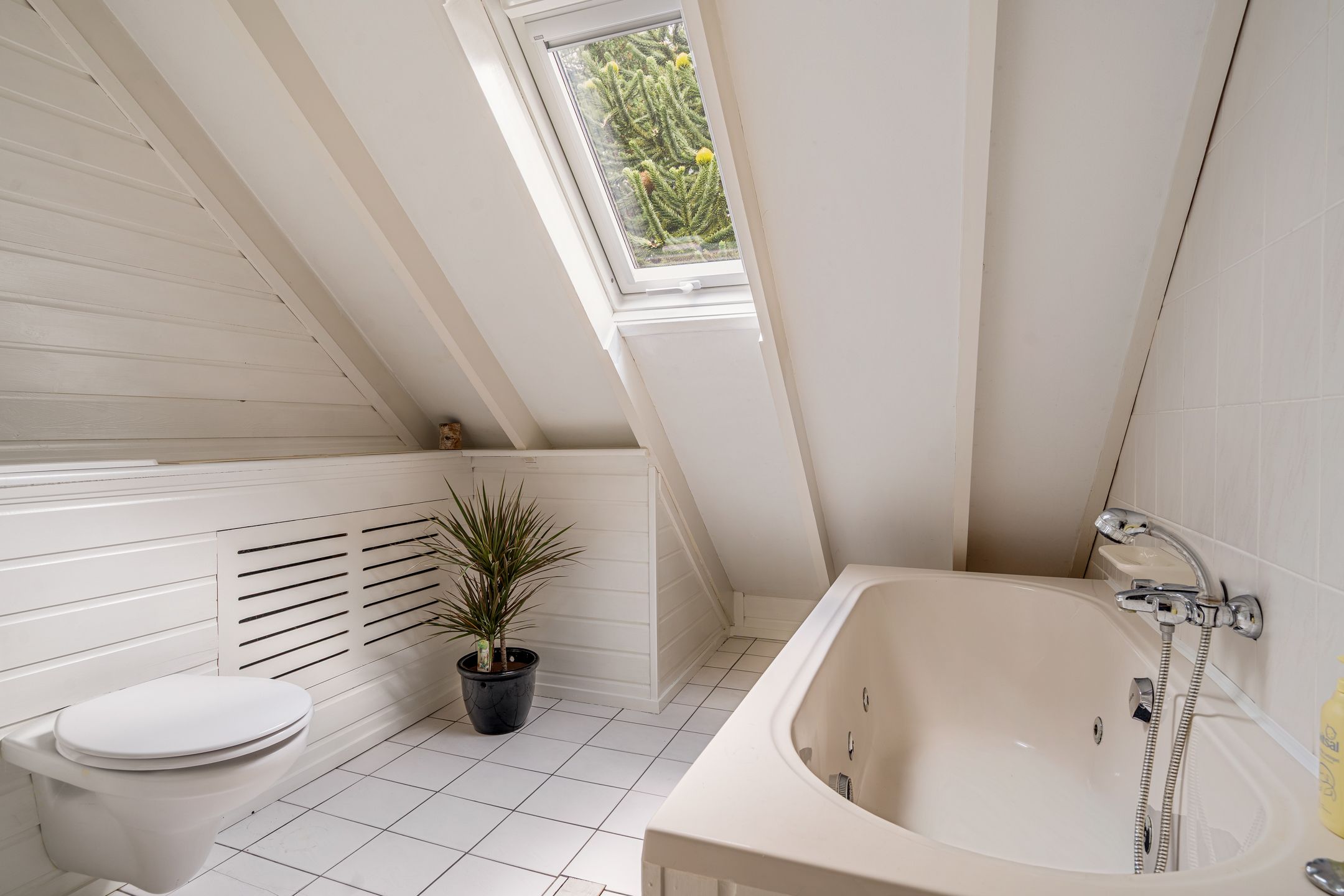 Photo 39 of Oosterwijk WZ 50