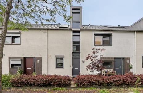 Lingestraat thumbnail