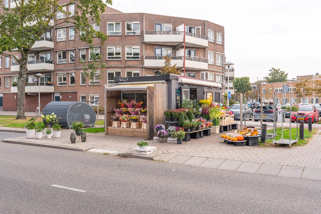 Photo 47 of Nicolaas Sopingiusstraat 76
