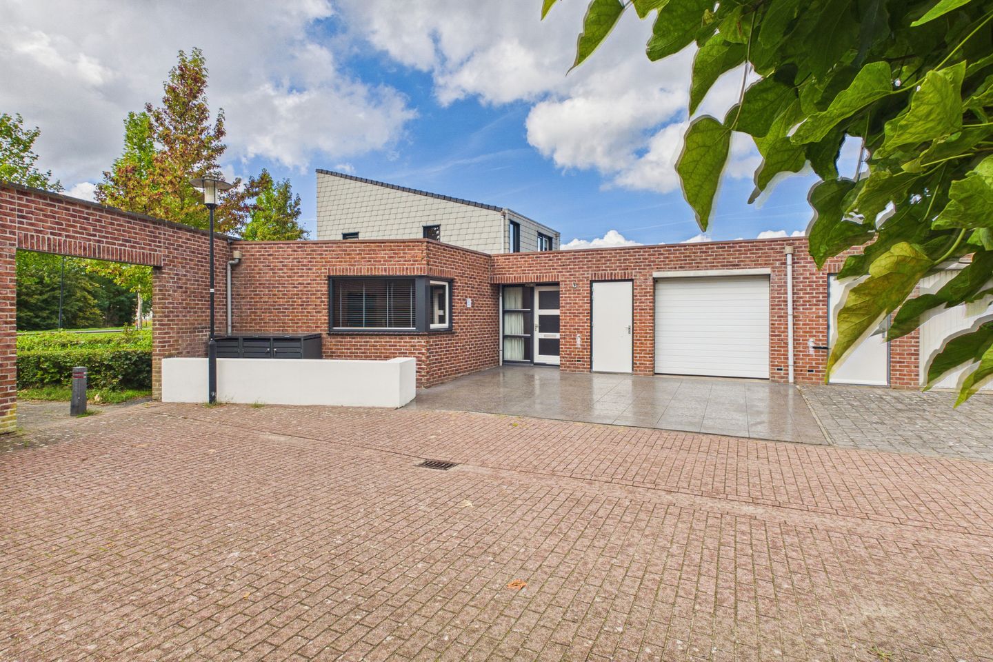 Photo 5 of Steenarend 5