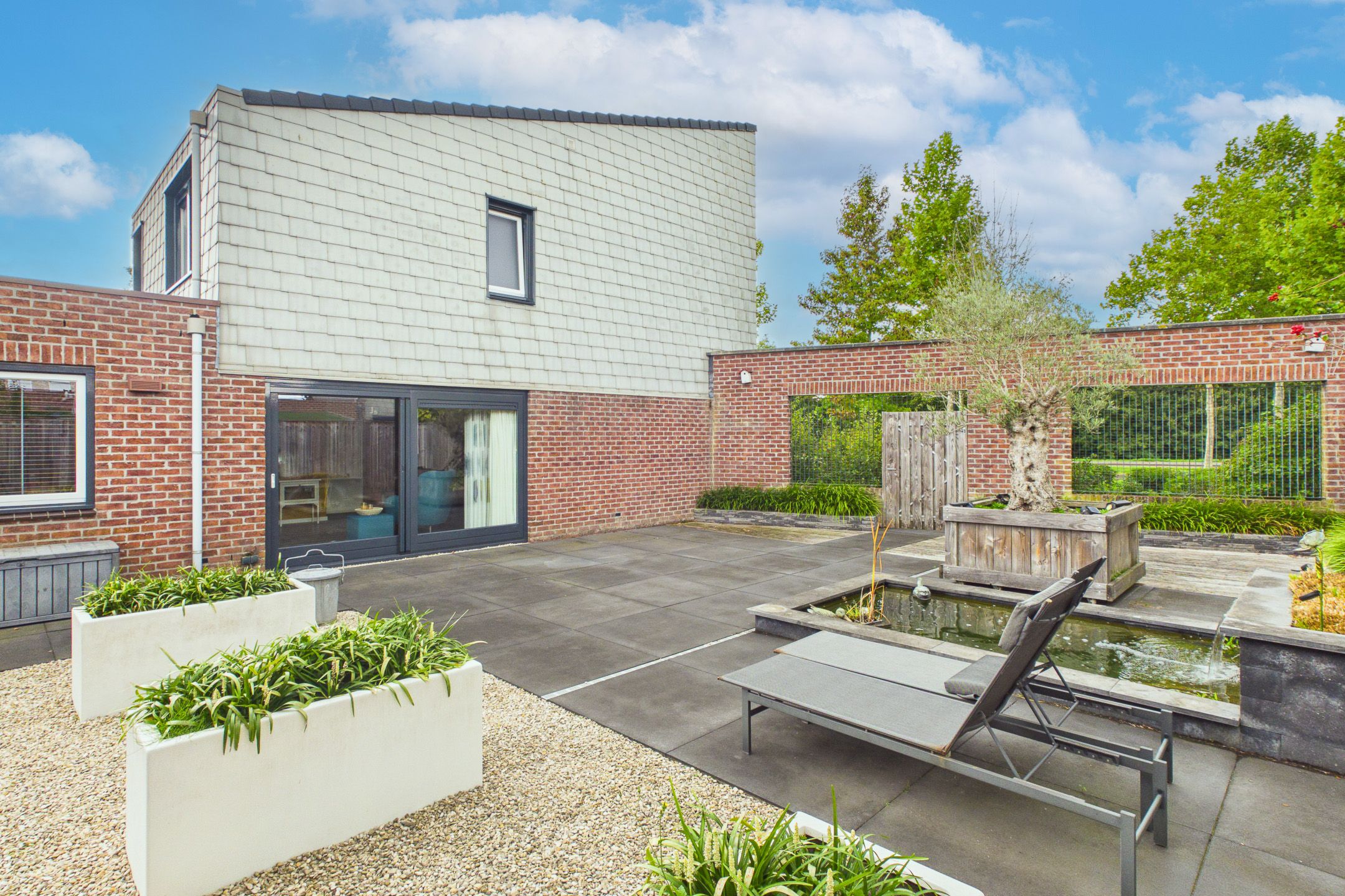 Photo 39 of Steenarend 5