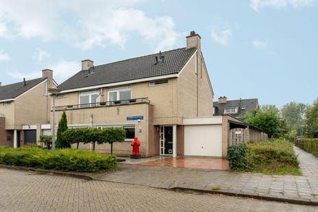 Schovenhorststraat thumbnail