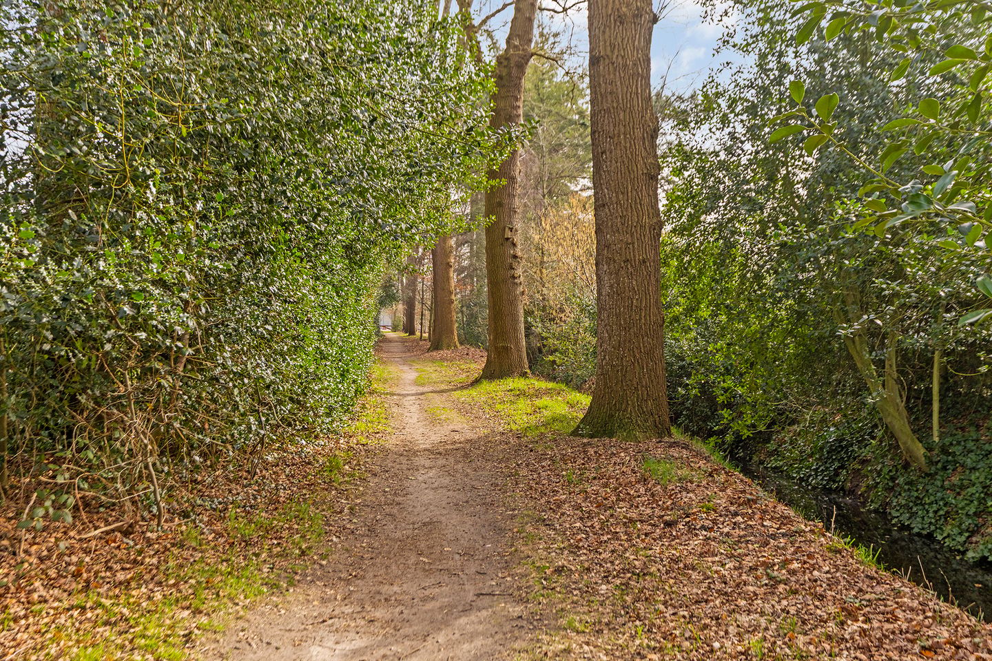 Foto 49 van Heerenveenseweg 2-A