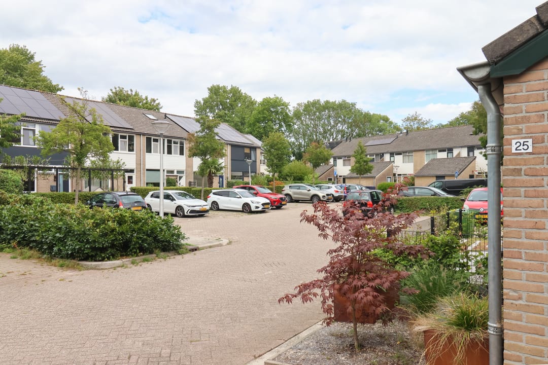 Photo 11 of Hoornbloem 25
