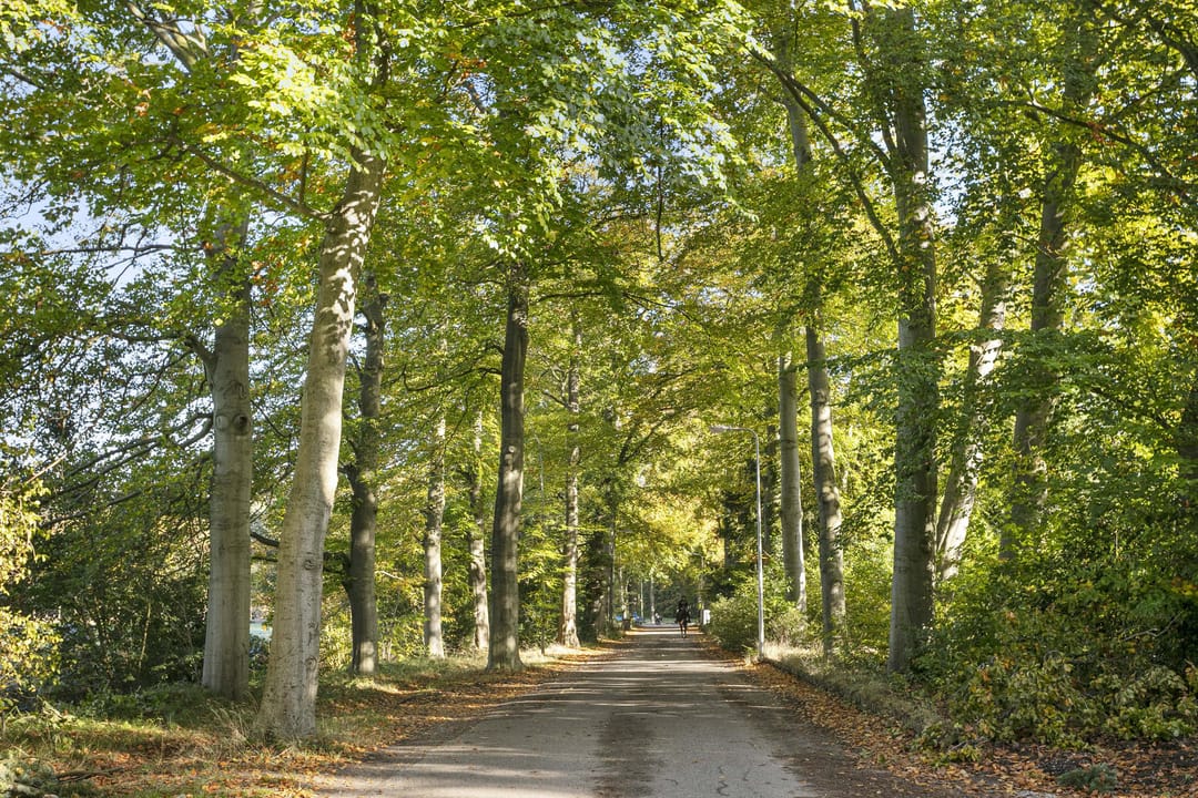 Foto 28 van Laan van Rijnwijk 1-D04