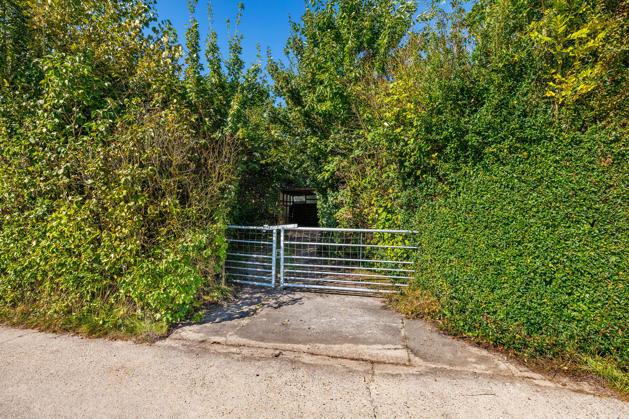 Photo 57 of Oldenzijlsterweg 10