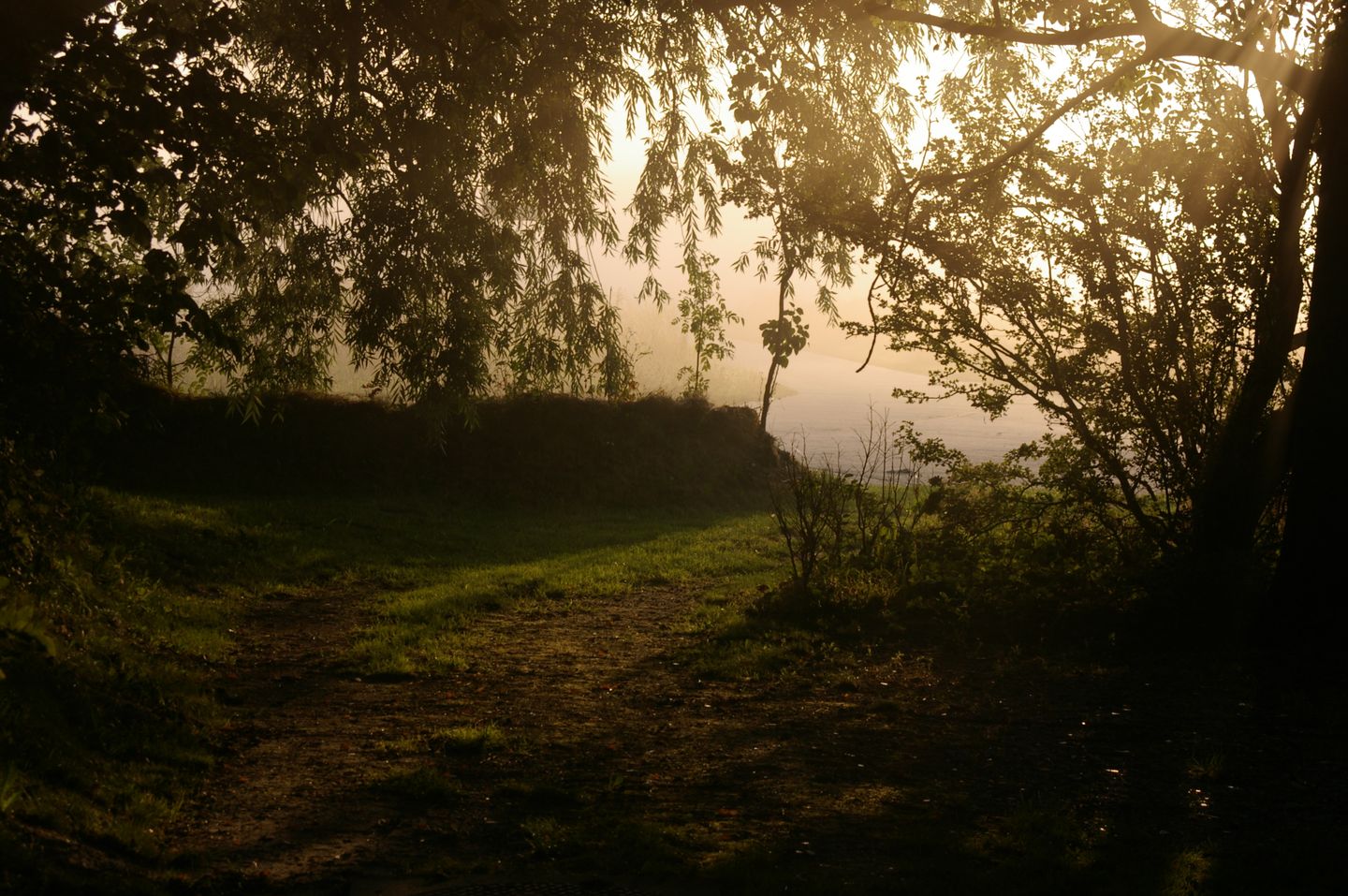Photo 50 of Oldenzijlsterweg 10