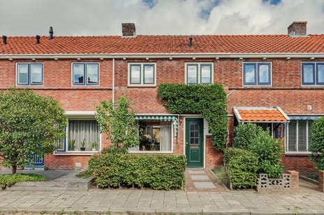 Violenstraat thumbnail