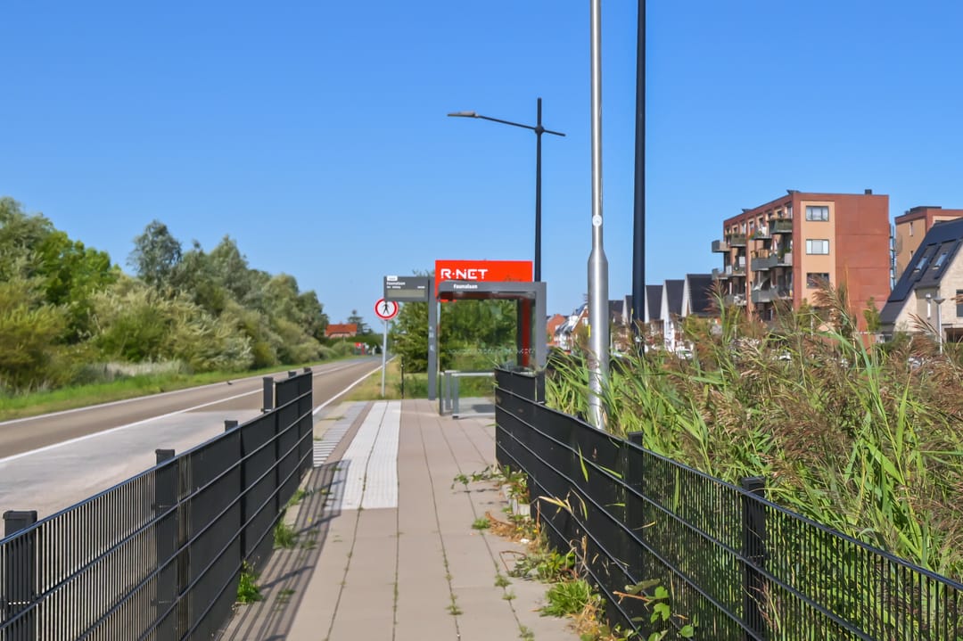 Foto 43 van Knobbelzwaan 102