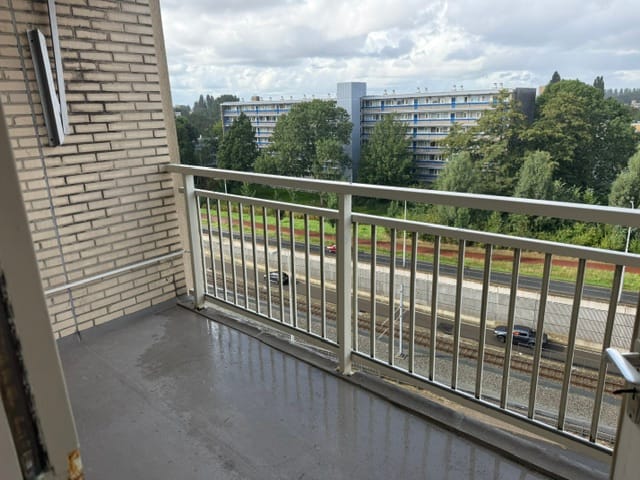 Foto 20 van Westelijk Halfrond 393