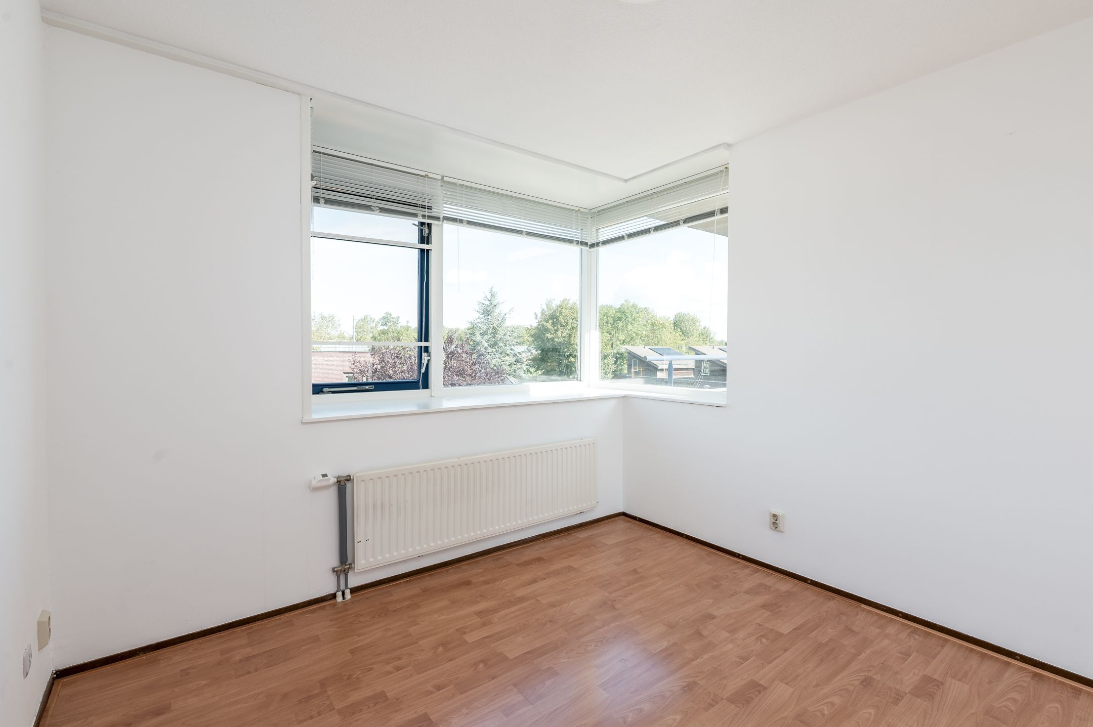 Foto 42 van Thérèse Schwartzestraat 48
