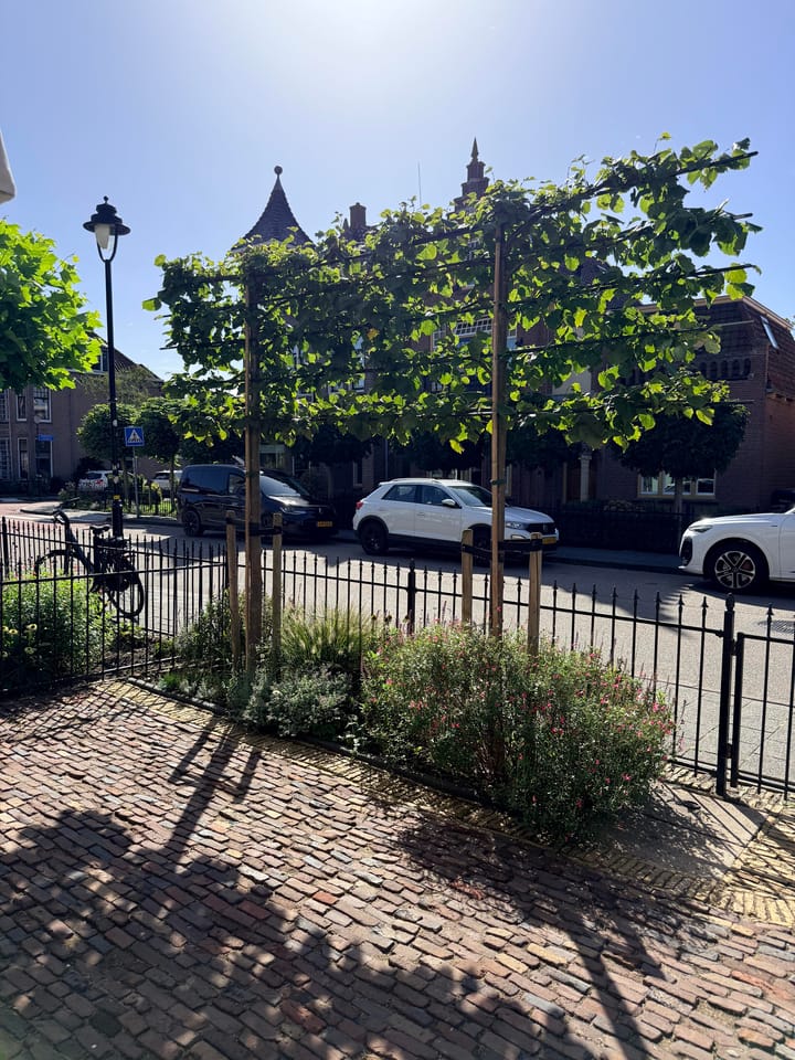 Foto 4 van Landbouwstraat 17