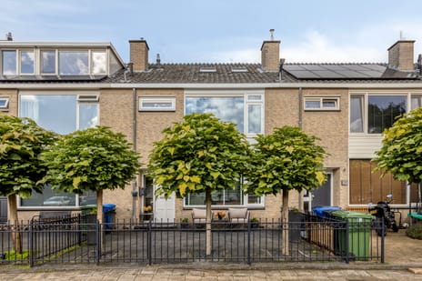 Bongweg thumbnail
