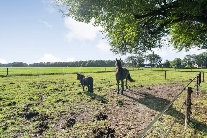 Vrijstaande woning te koop: Oud Veeningen 4, Veeningen