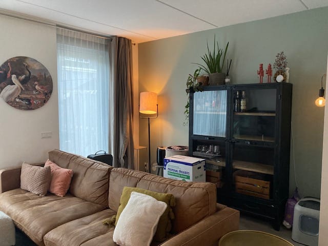 Foto 4 van Zijdehoenderlaan 60
