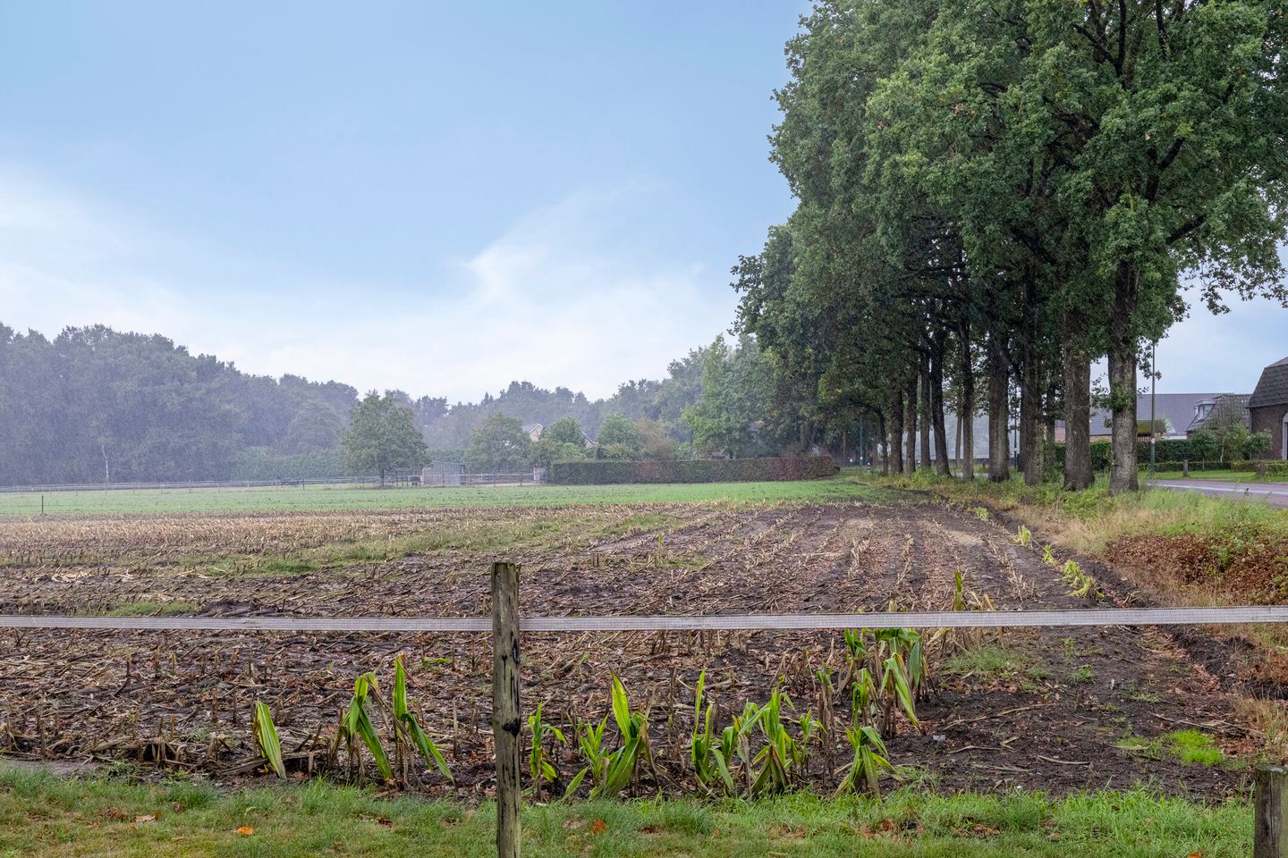 Foto 40 van Broekhovenseweg 5
