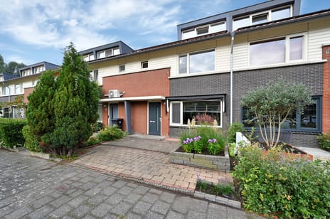 Bernard Canterstraat thumbnail