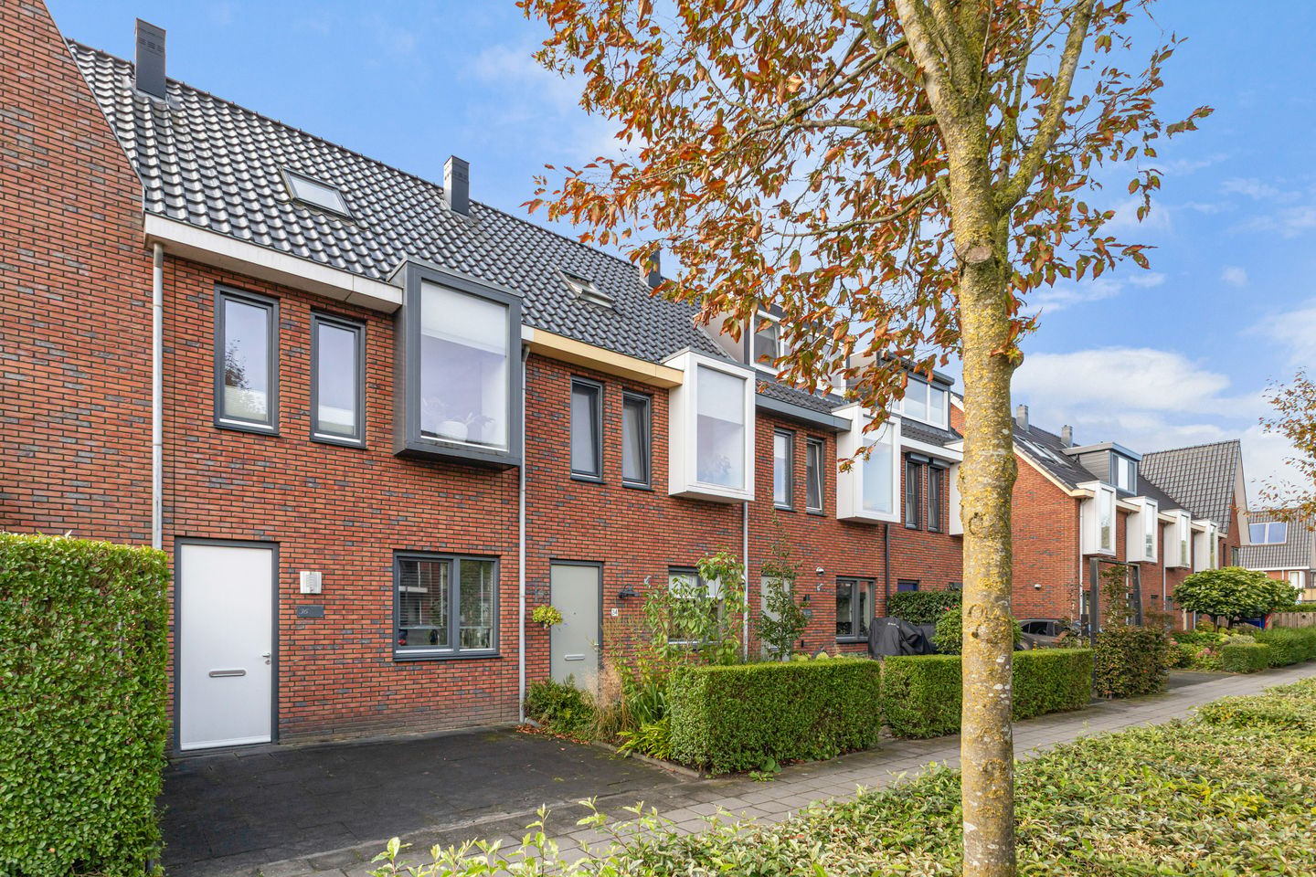 Foto 1 van Renes 36