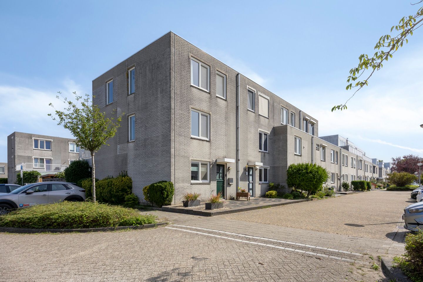 Photo 5 of Meloengeel 2