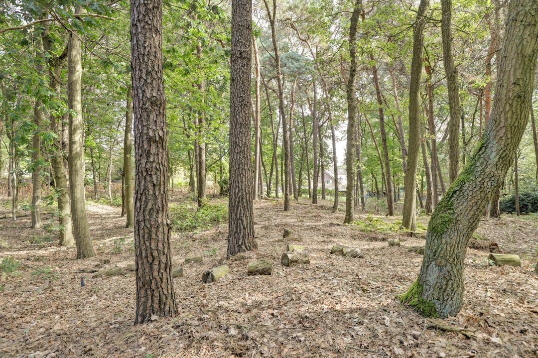 Foto 142 van Bosserheide 43-A