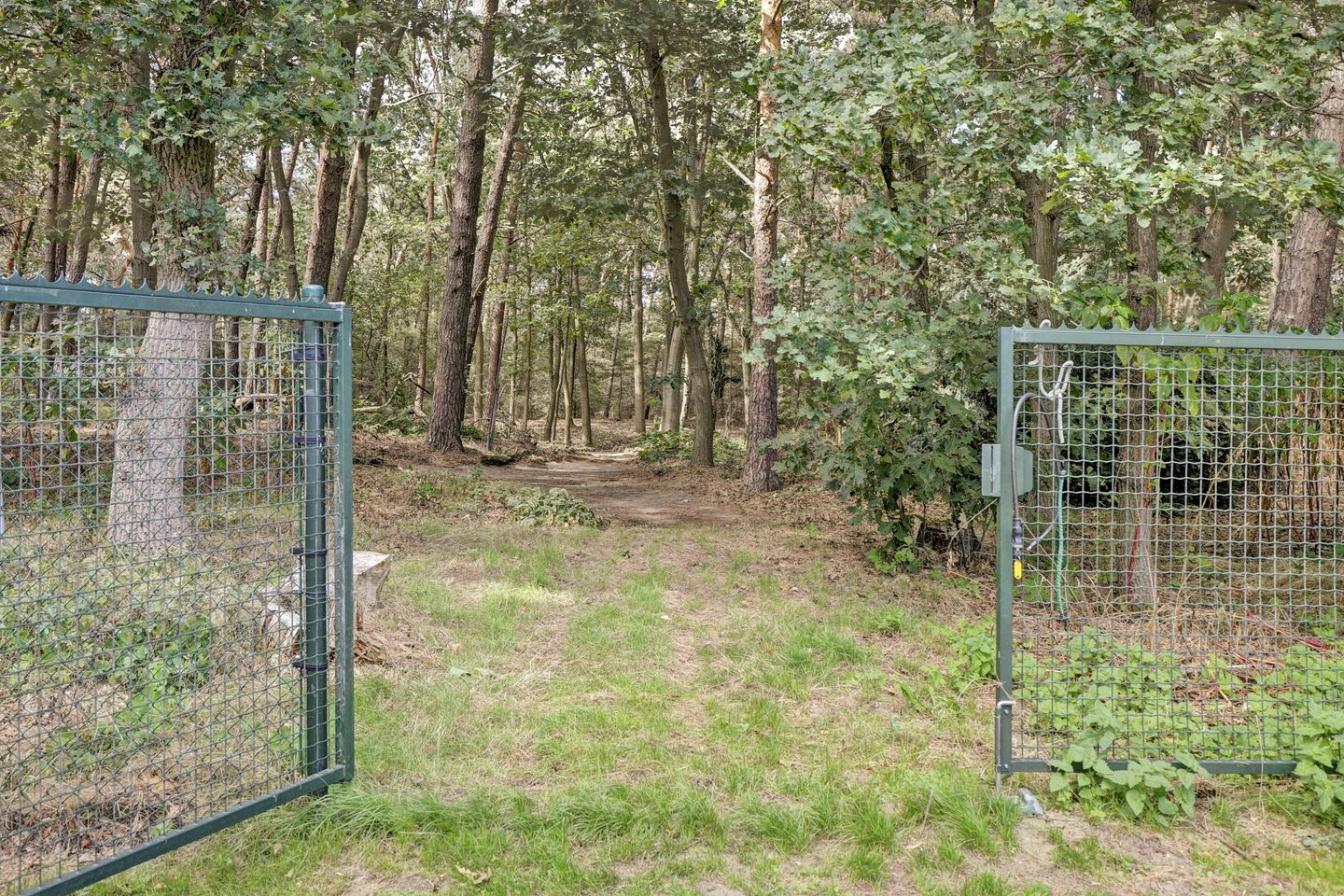 Foto 140 van Bosserheide 43-A