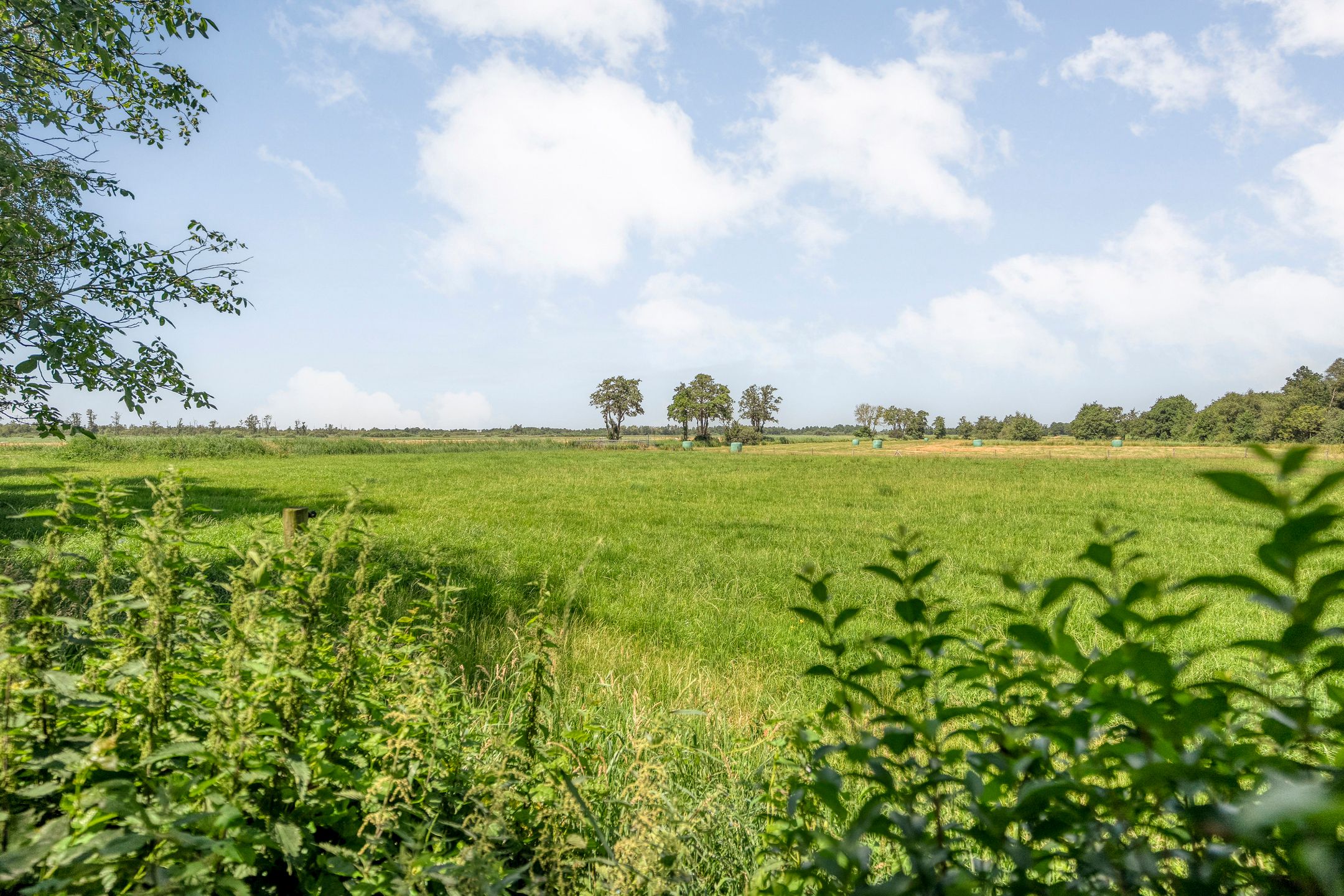 Photo 45 of Zomerdijk 6