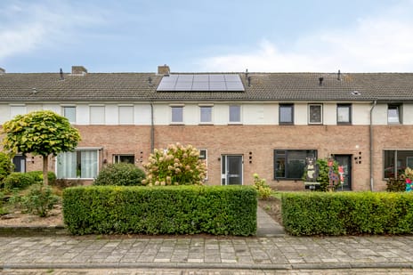 Primulastraat thumbnail