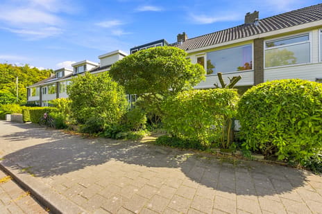 Lindesingel thumbnail
